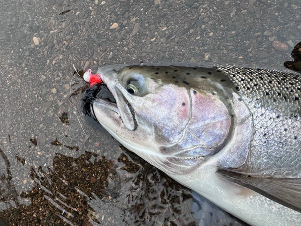 Twitching Jigs for Steelhead