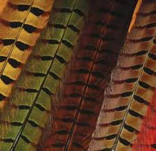 Hareline Ringneck Pheasant Tail Feathers Black - Fly Tying