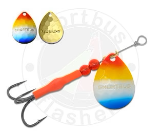 Shortbus Flashers 3.5 Colorado Spinner - Blue Tip ZZZ