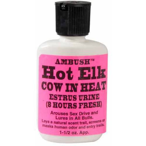 Moccasin Joe Hot Elk Cow In Heat
