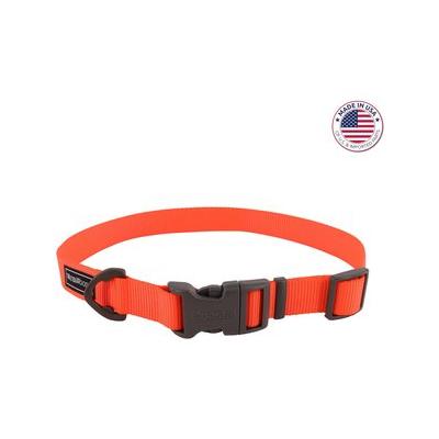 Water & Woods Adjustable Dog Collar, Safety Orange, Small: 10-14-In Neck, 3/4-In Wide