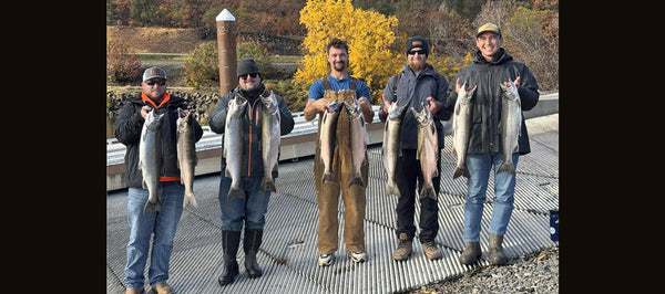 Fishing Report 11/31