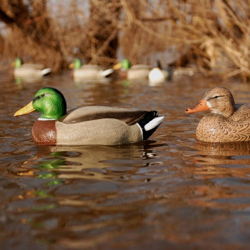 Avery Hot Buy Magnum Mallards-Hd Green