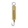 P-Line SS-100LB Scale