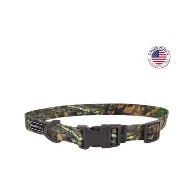 Water & Woods Adjustable Dog Collar, Nwtf Obsession, Small: 10-14-In Neck, 3/4-In Wide