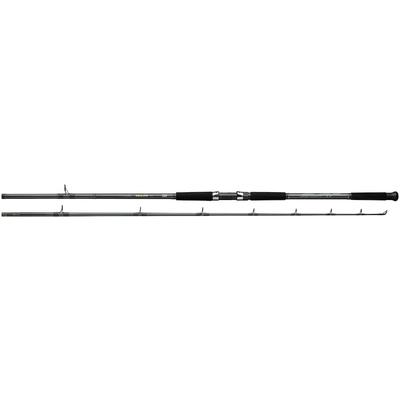 Daiwa Sealine Surf Spinning Rod