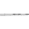 Daiwa Sealine Surf Spinning Rod