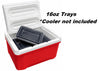 XStream Plastic Container - Bait Tray with Lid