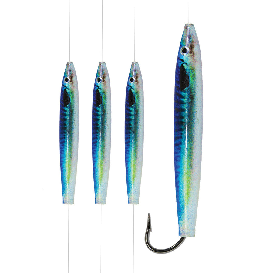Ahi USA 6
