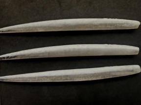 VIP Outdoors 9" Eel White/Silver