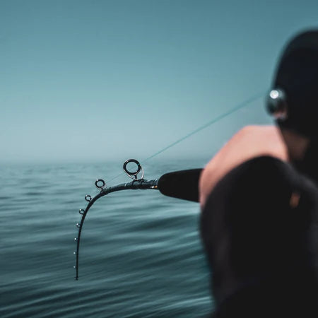 Daiwa Rod Harrier-X HRX70Ms