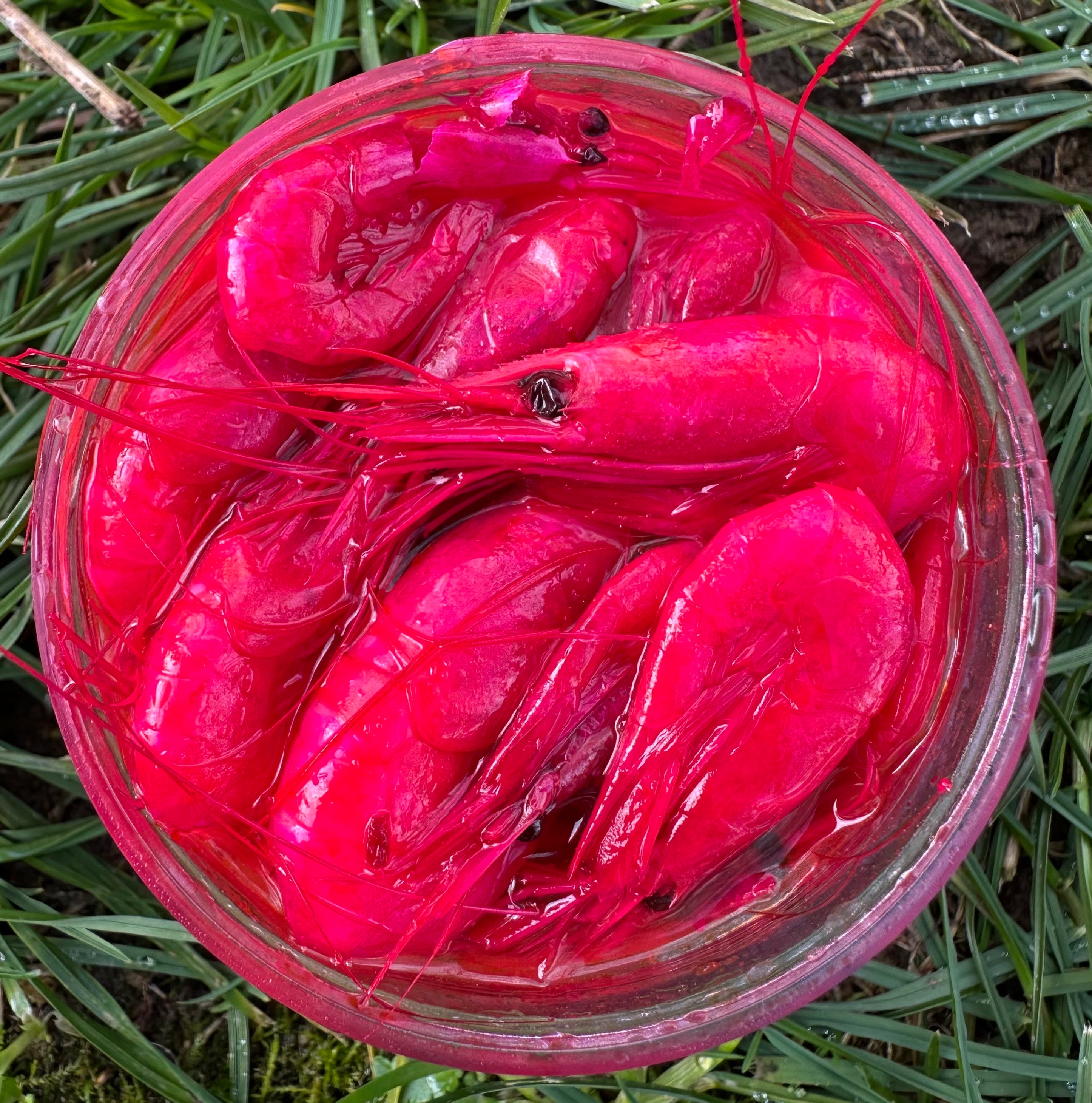 Millennial Bait Trophy Prawn - Pink