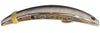 Brad's Original Super Bait (4.5") - 2 Pack