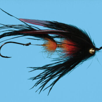 Solitude Signature Intruder