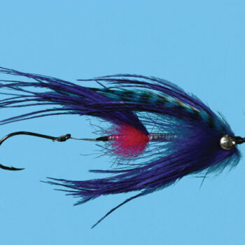 Solitude Signature Intruder