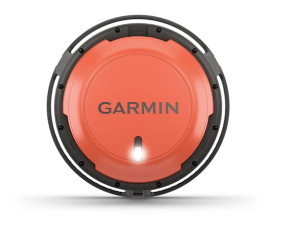 Garmin Descent S1 Buoy