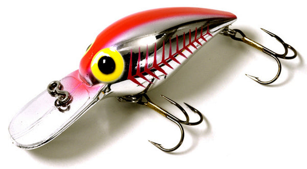Brad's Magnum Wigglers ZZZ
