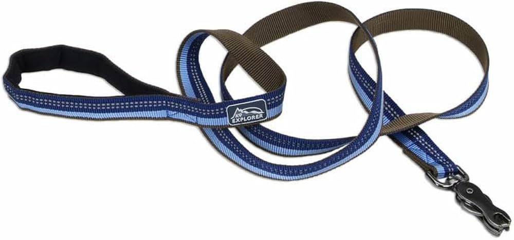 Coastal Pet Products 6 Ft. K9 Explorer Reflective Leash With Scissor Snap - Sapphire Blue