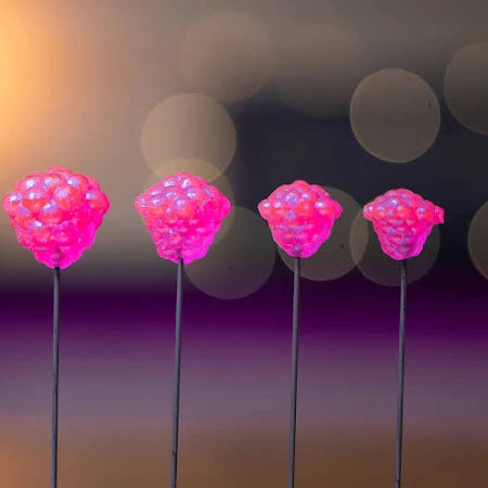 Elevated Tackle Egg Clusters