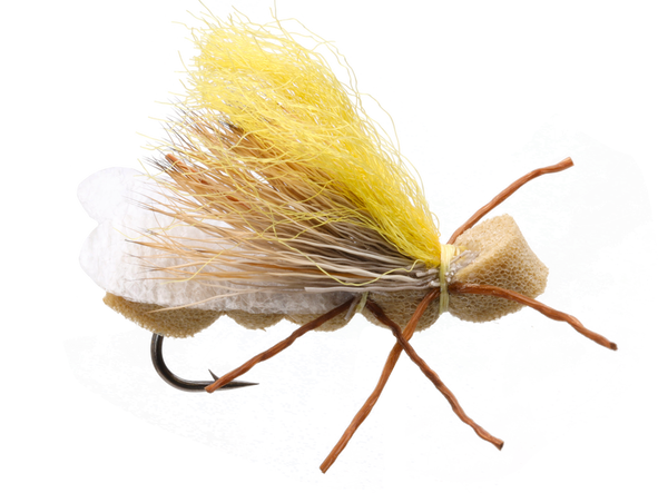 Solitude Fluttering Golden Stone