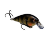 Strike King KVD Square Bill 1.5 Crankbaits