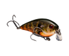 Strike King KVD Squarebill 1.5 Shallow Crankbait