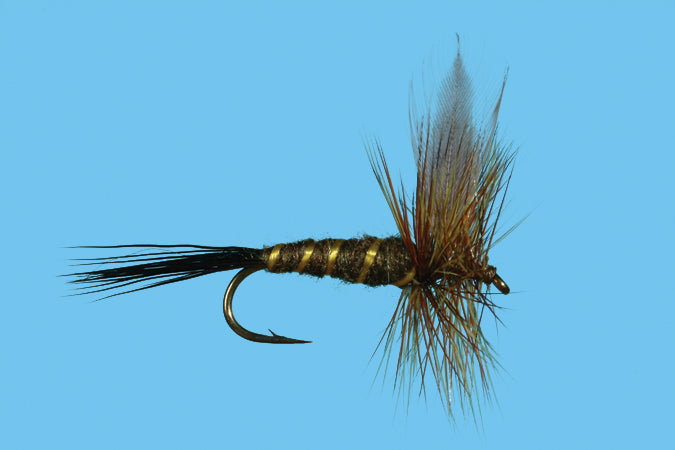 SOLI GREEN DRAKE      12