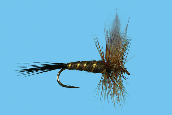 SOLI GREEN DRAKE      12