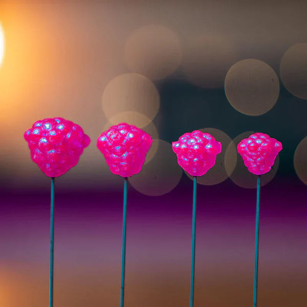 Elevated Tackle Egg Clusters