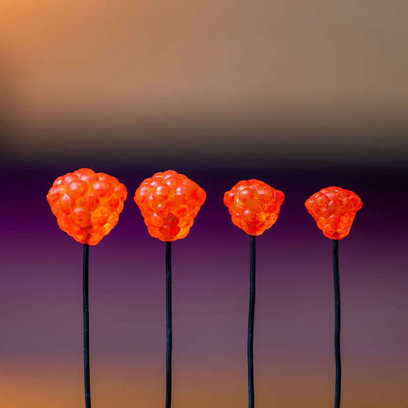 Elevated Tackle Egg Clusters