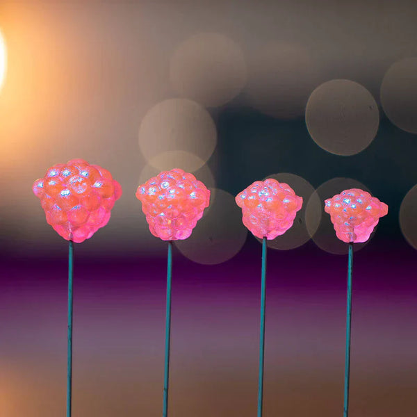 Elevated Tackle Egg Clusters