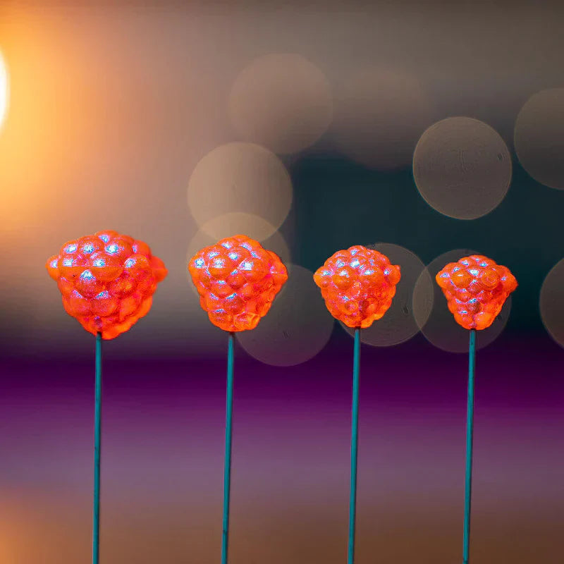 Elevated Tackle Egg Clusters