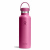 Hydro Flask Standard Mouth Bottle with Flex Cap