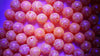 Lured Hard Beads