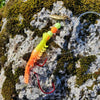 Lured Micro Shrimp