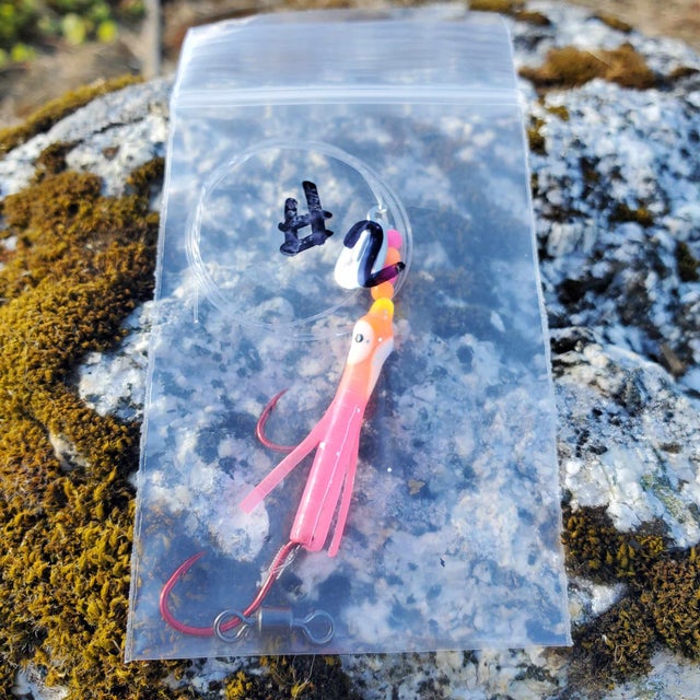 Lured Baby Squidlets