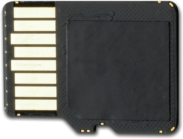 Garmin 4 GB microSD Card & SD Adapter