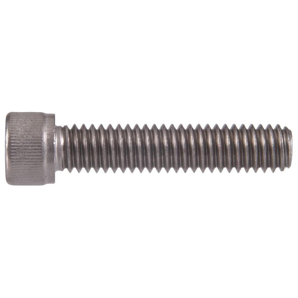 Hillman 1/4 in. -20 in. X 3 in. Internal Hex Socket Cap-Head Cap Screw (6-Pack)