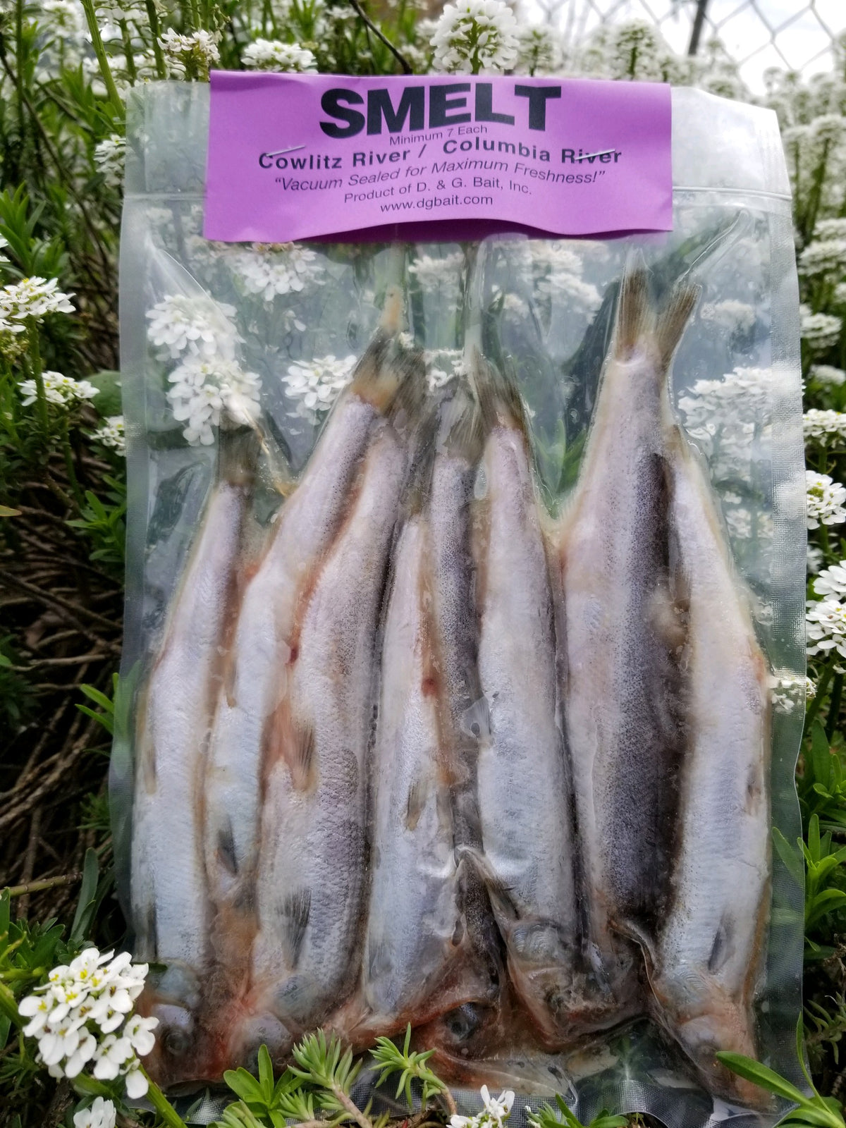 D & G Bait Smelt Fish Bait 7 Count
