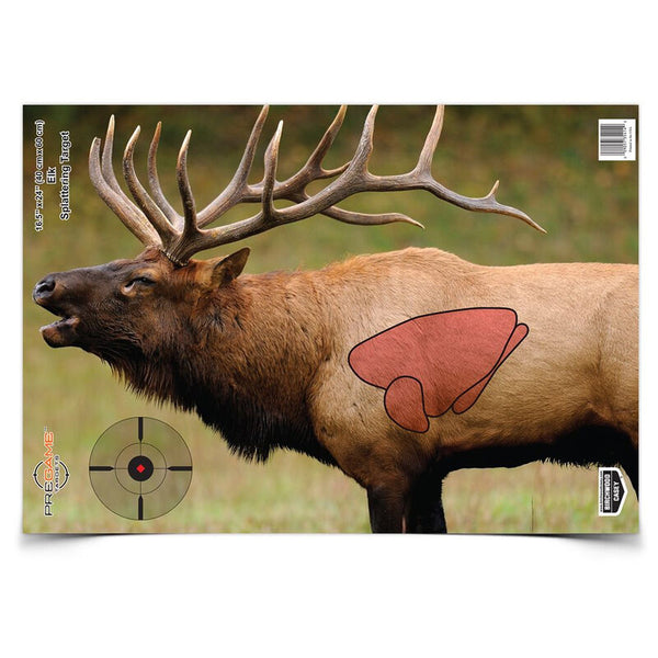 Birchwood Casey Pregame Elk Target 16.5" X 24" 3 Pack